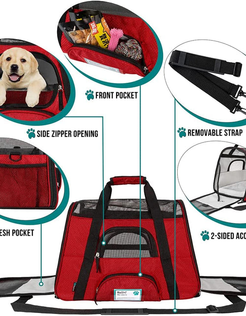 Load image into Gallery viewer, Airline Approved Pet Carrier for Cat, Soft Sided Dog Carrier for Small Dogs, Cat Travel Supplies Accessories for Indoor Cats, Ventilated Pet Carrying Bag Medium Large Kitten Puppy, Small Red
