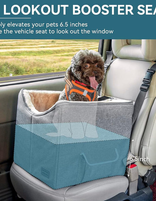 Load image into Gallery viewer, Small Dog Car Seat, Pet Travel Car Booster Seat with Safety Belt, Washable Double-Sided Cushion and Storage Pocket for Small Pet (Small, Light Grey)
