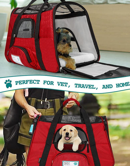 Load image into Gallery viewer, Airline Approved Pet Carrier for Cat, Soft Sided Dog Carrier for Small Dogs, Cat Travel Supplies Accessories for Indoor Cats, Ventilated Pet Carrying Bag Medium Large Kitten Puppy, Small Red
