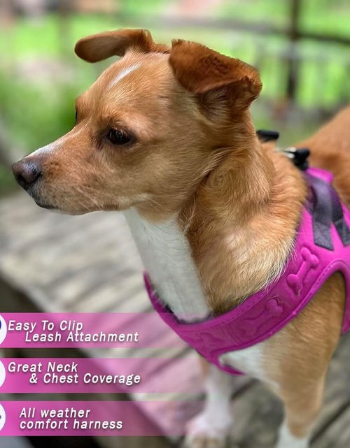 Load image into Gallery viewer, Comfort Fit Dog Harness - Comfortable Puppy Harness &amp; Dog Vest: Adjustable, Soft Padded for Small, Medium Dogs - Easy to Put-On Dog Harness Medium Sized Dog
