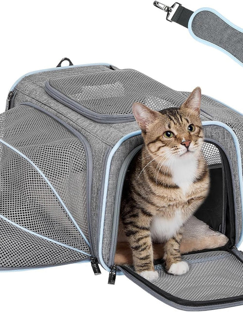Load image into Gallery viewer, Expandable Cat Carriers Airline Approved, 16"X10"X9" Small Dog Carrier Soft-Sided Portable Washable Pet Travel Carrier with Two Extension for Kitten,Rabbit, Puppy, Small Animal
