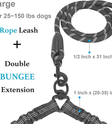 Dual Dog Leash, Double Dog Leash, 360 Swivel No Tangle Walking Leash, Shock Absorbing Bungee for Two Dogs, Black, Large (25-150 Lbs)